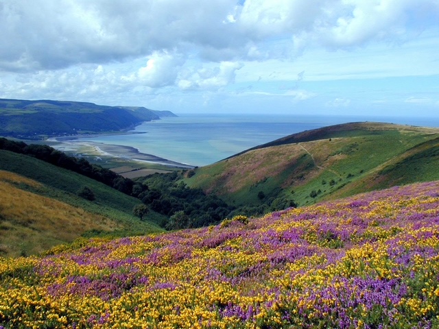 Scenic moorland road through Exmoor
